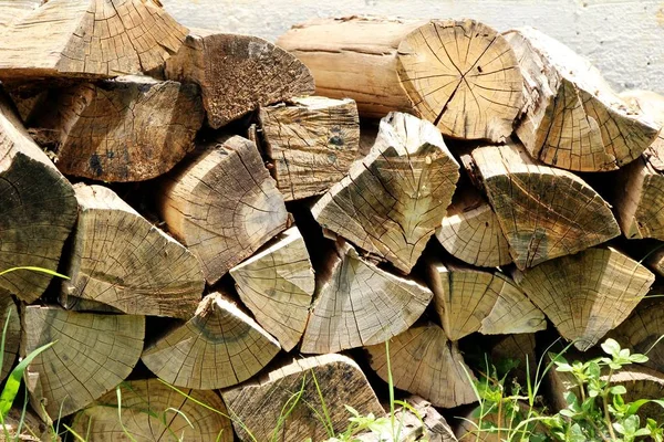 Pile of old firewood background with nature — Stock Photo, Image