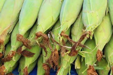 Belgili tanımlık çarşı içinde yemek pişirmek için taze Mısır