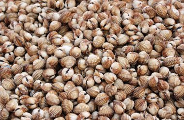 belgili tanımlık çarşı içinde yemek pişirmek için taze cockle