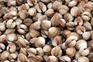 belgili tanımlık çarşı içinde yemek pişirmek için taze cockle