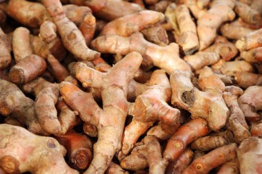 Taze zerdeçal kök sağlık için bitkidir