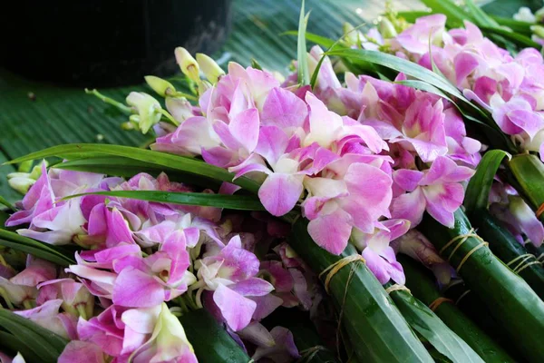Orchideenblume bei schön auf dem Markt — Stockfoto