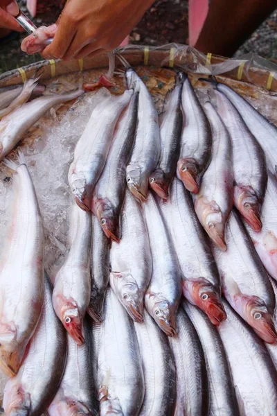 Свежая рыба для приготовления пищи на рынке — стоковое фото