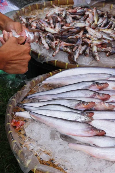 Fresh fish for cooking in the market — Stock Photo, Image