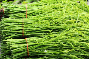 Akasya pennata belgili tanımlık çarşı içinde yemek pişirmek için