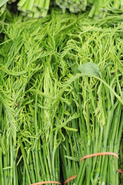 Akasya pennata belgili tanımlık çarşı içinde yemek pişirmek için