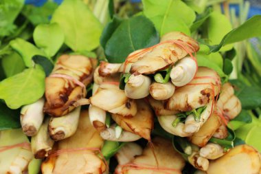 Sebze için baharatlı çorba içinde belgili tanımlık çarşı ayarla