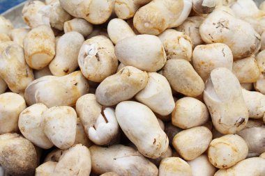 Belgili tanımlık çarşı içinde yemek pişirmek için taze mantar