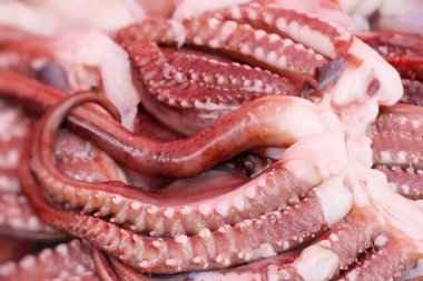 belgili tanımlık çarşı içinde yemek pişirmek için taze kalamar