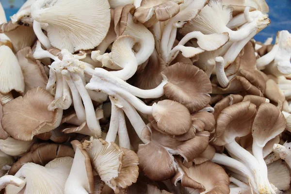 Belgili tanımlık çarşı içinde yemek pişirmek için taze mantar