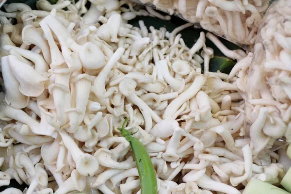 Funghi freschi per cucinare nel mercato — Foto Stock