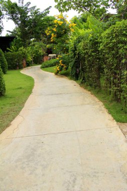Doğada taşlı Bahçe yürüme yolu