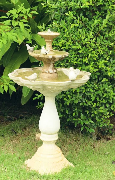 Fontaine dans le jardin avec beauté nature — Photo