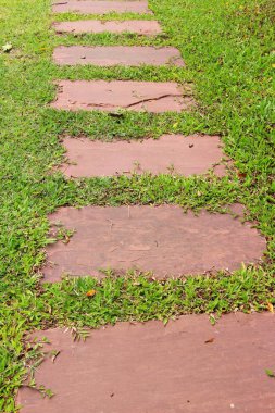 Doğada taşlı Bahçe yürüme yolu