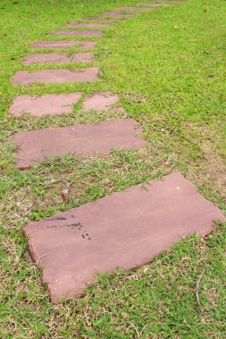 Doğada taşlı Bahçe yürüme yolu