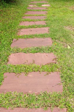 Doğada taşlı Bahçe yürüme yolu