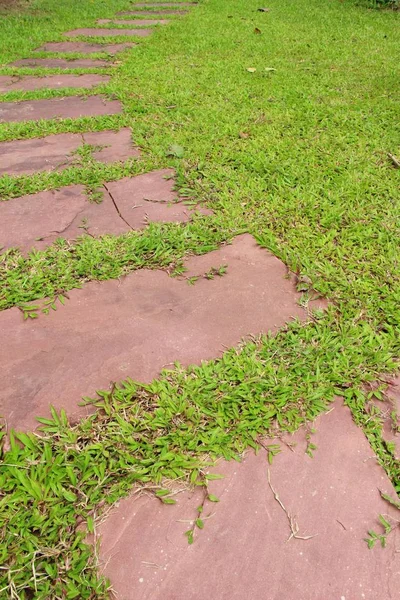 Trädgård promenad sätt med sten i naturen — Stockfoto