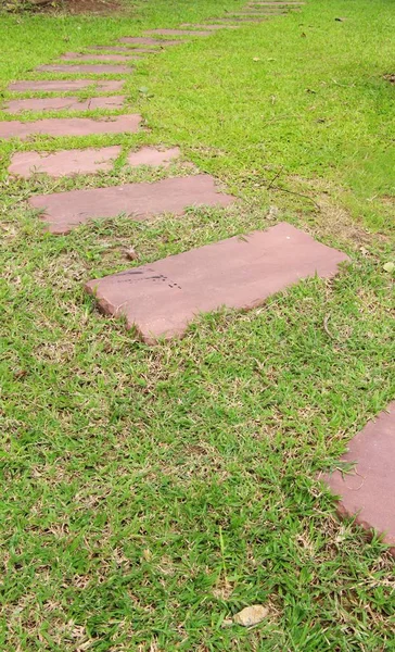 Caminho do jardim com pedra na natureza — Fotografia de Stock