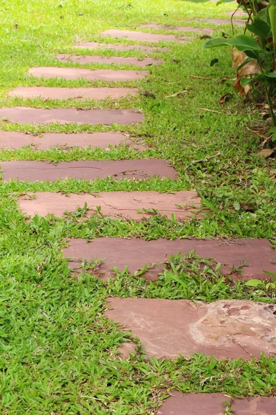 Doğada taşlı Bahçe yürüme yolu