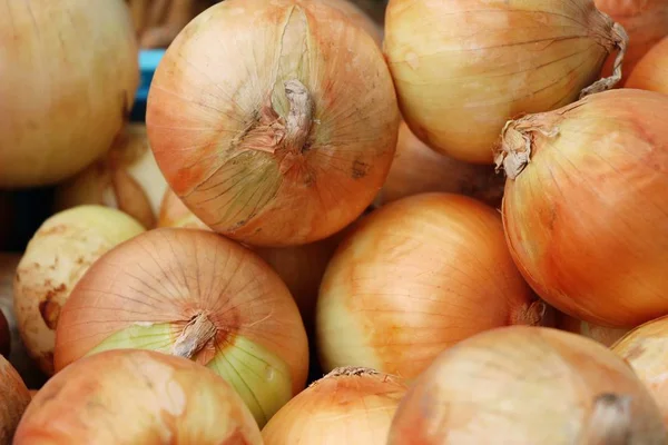 La cebolla fresca para la cocción en el mercado — Foto de Stock