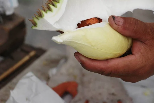 La fruta duriana es deliciosa en el mercado — Foto de Stock