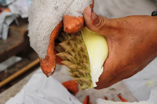 La fruta duriana es deliciosa en el mercado —  Fotos de Stock