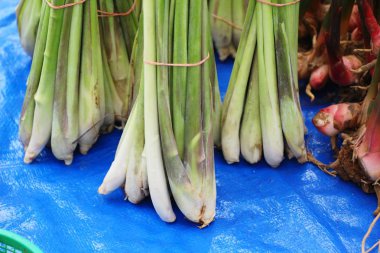 Taze limon otu içinde belgili tanımlık çarşı