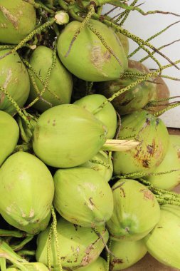 Taze hindistan cevizi bir grup olduğunu