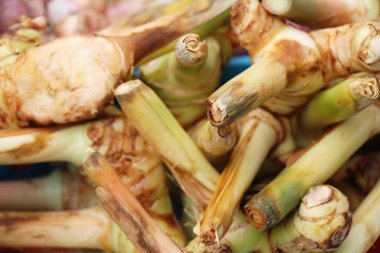 Belgili tanımlık çarşı içinde yemek pişirmek için taze havlıcan