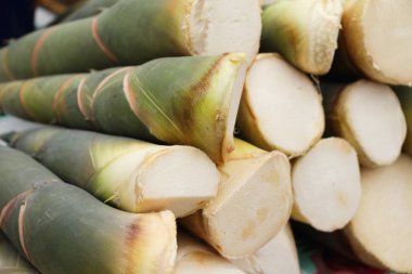 Tatlı bambu markette yemek pişirmek için ateş