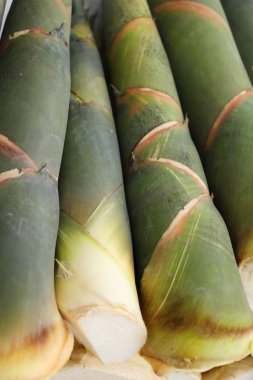 Tatlı bambu markette yemek pişirmek için ateş