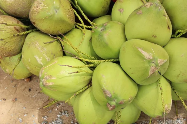 Verse kokosnoot is een bos — Stockfoto