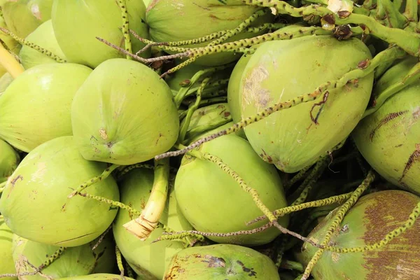 Taze hindistan cevizi bir grup olduğunu