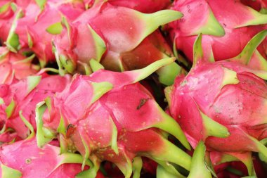 Taze dragon meyve organik pazar