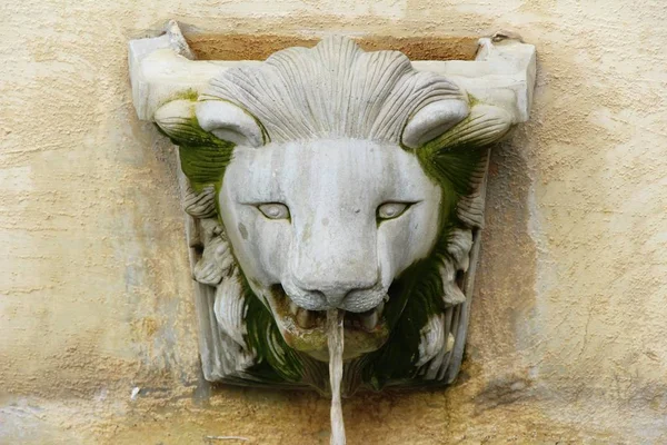 Lion statue spitting water vintage style in garden — Stock Photo, Image