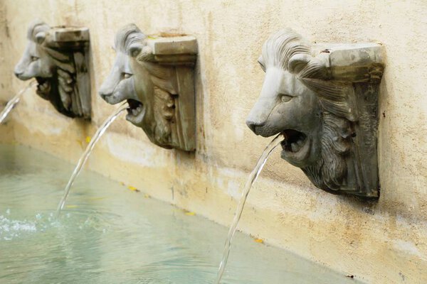 Lion statue spitting water vintage style in garden