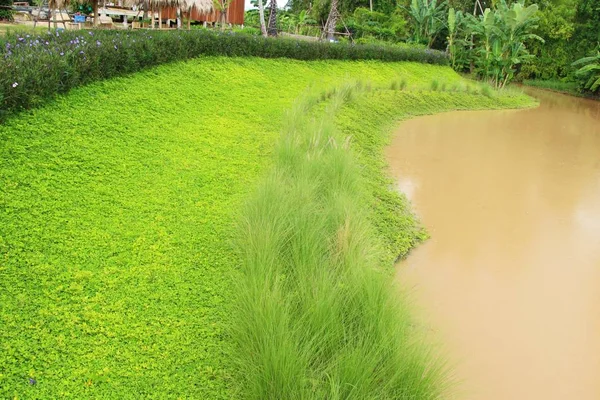 Landsbygdens tillmötesgående med naturen — Stockfoto