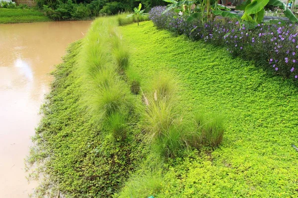 Doğa ile kırsal cannal