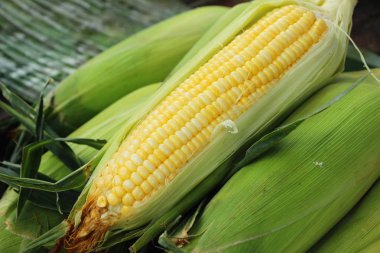 Belgili tanımlık çarşı içinde yemek pişirmek için taze Mısır