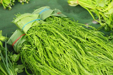 Akasya pennata belgili tanımlık çarşı içinde yemek pişirmek için