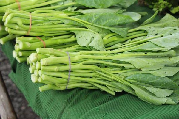 Chou frisé chinois sur le marché — Photo