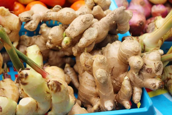 Galangal fresco per cucinare nel mercato — Foto Stock