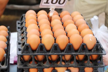 Piyasada panelinde yumurta