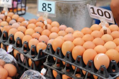 Piyasada panelinde yumurta