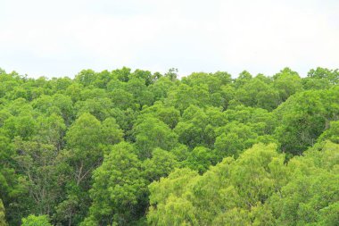 Dağ ve göl manzara doğa ile