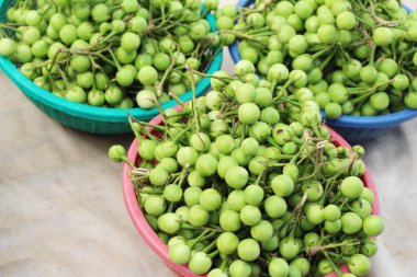 Taze patlıcan yeşil organik bir grup olduğunu 