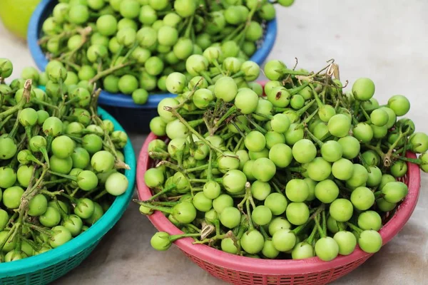 Taze patlıcan yeşil organik bir grup olduğunu 