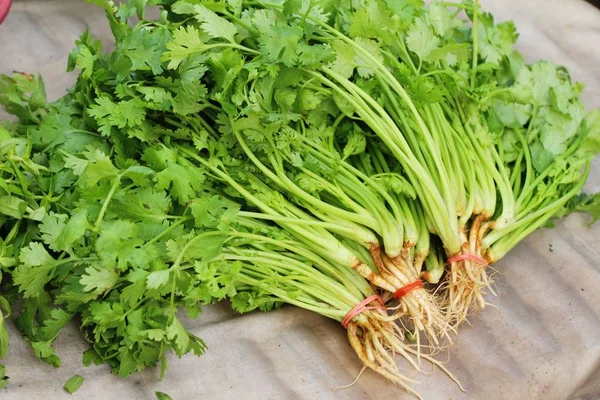 Cilantro fresco en el mercado — Foto de Stock