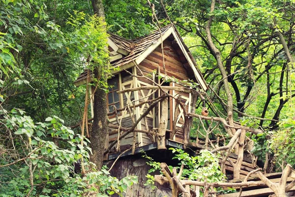 Ağaç doğa ile küçük ahşap ev