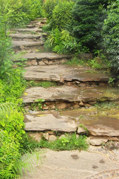 Garden walk way with stone in nature — Stock Photo, Image